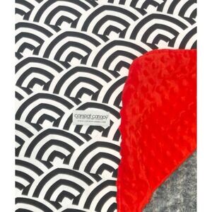 Carseat Canopy Black White Wave Pattern Red Minky Blanket Stroller Travel